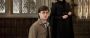 Harry Potter and the Cursed Child: Gerüchte Verfilmung des Theaterstücks | Serienjunkies.de